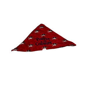 Disney Pirate of the Caribbean Hanker-shift From Disney Cruise Line